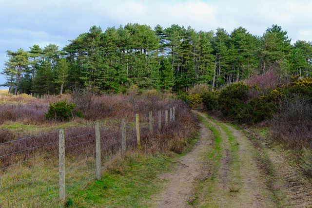 Track on route of walk.